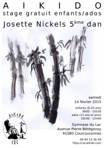 Stage.Josette.Nickels.14-02-2015.Courcouronnes
